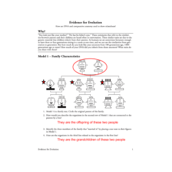 Pogil evolution and selection answer key