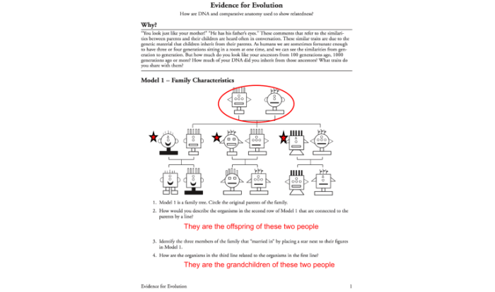 Pogil evolution and selection answer key