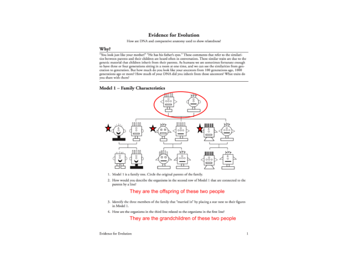 Pogil evolution and selection answer key