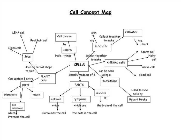 Biochemistry concept map answer key