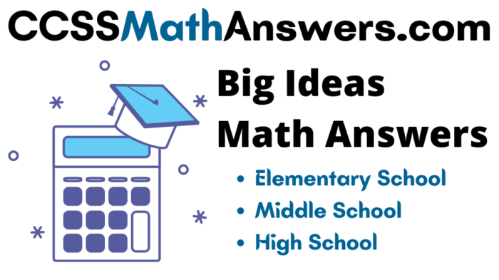 Big ideas math chapter 2 test answers