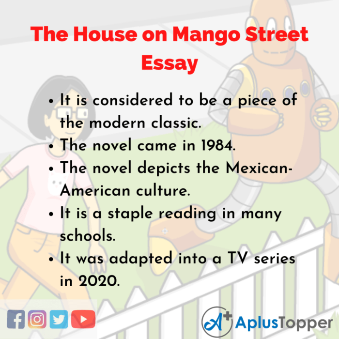 Metaphors from the house on mango street