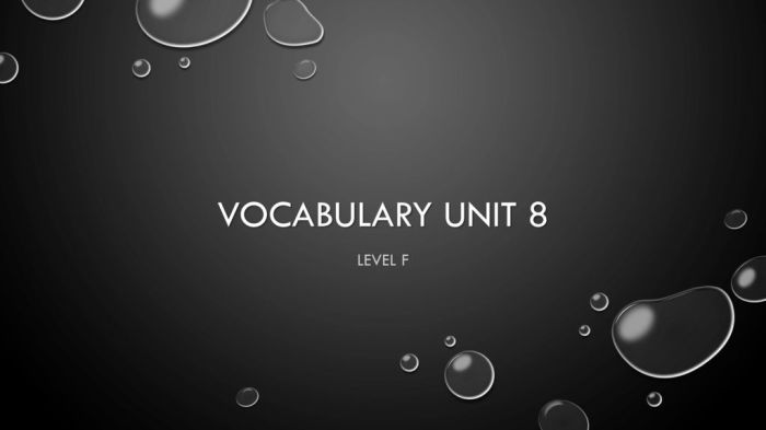 Vocabulary unit 8 level f