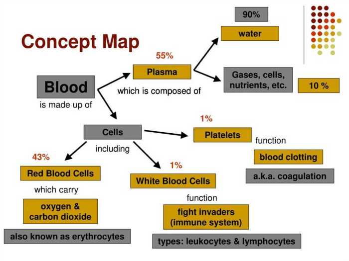 Biochemistry concept map answer key