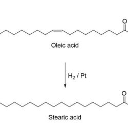 Draw the product formed when oleic acid is hydrogenated