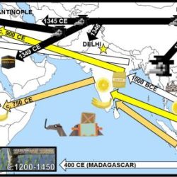 Mediterranean original citrus fruit archaeology history acclimatization diversification introduction uses jpeg