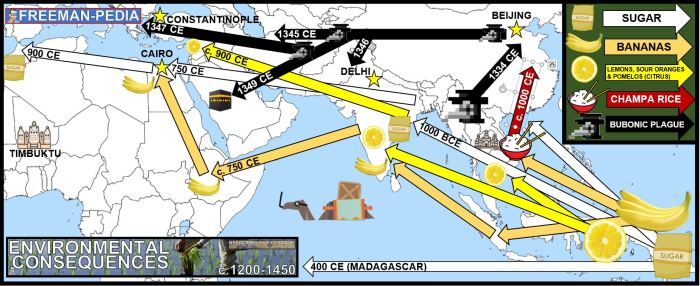 Mediterranean original citrus fruit archaeology history acclimatization diversification introduction uses jpeg