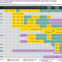 Screening checklist for contraindications to vaccines child