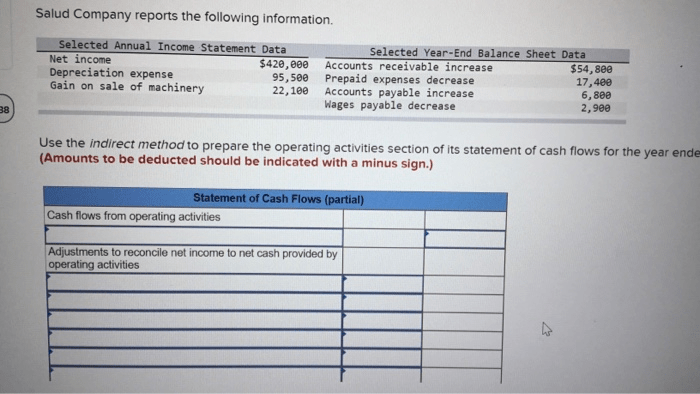 Salud company reports the following information